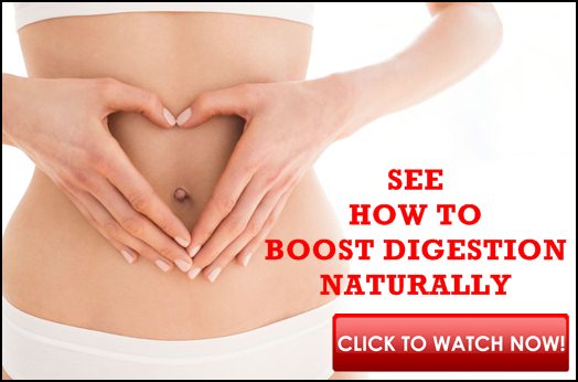 synogut supplement ingredients